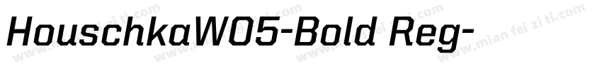 HouschkaW05-Bold Reg字体转换